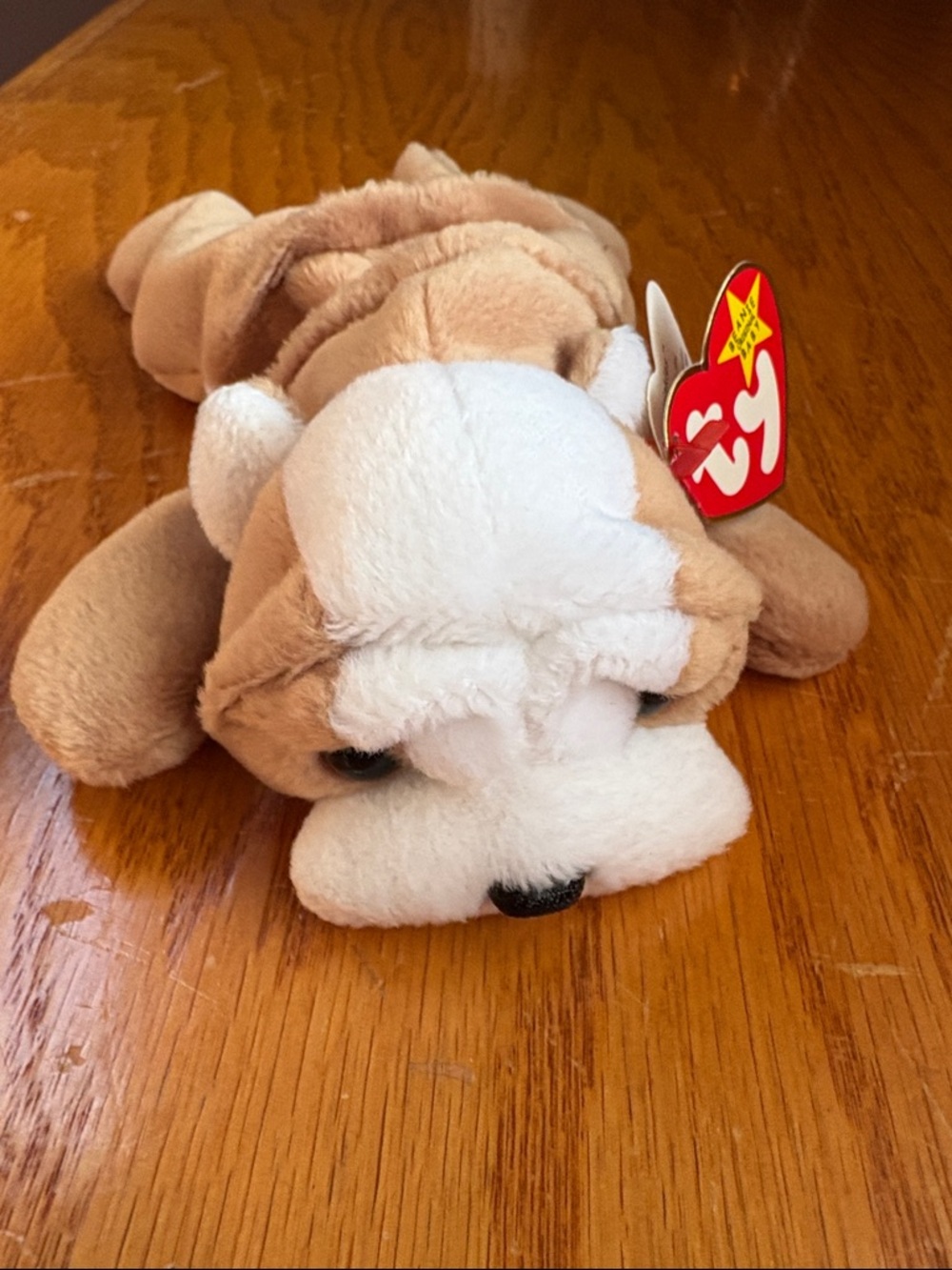 Ty Beanie Baby Wrinkles - 1996- New with tag